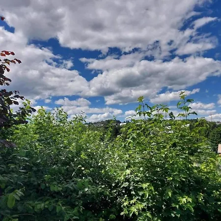 Peaceful In Winterberg, Cleaning Included Apartamento *